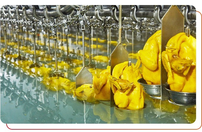 預(yù)制菜供應(yīng)商產(chǎn)品安全衛(wèi)生嗎？